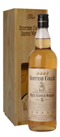 Scottish Collie Malt 5 y.o.