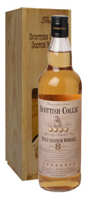 Scottish Collie Malt 8 y.o.